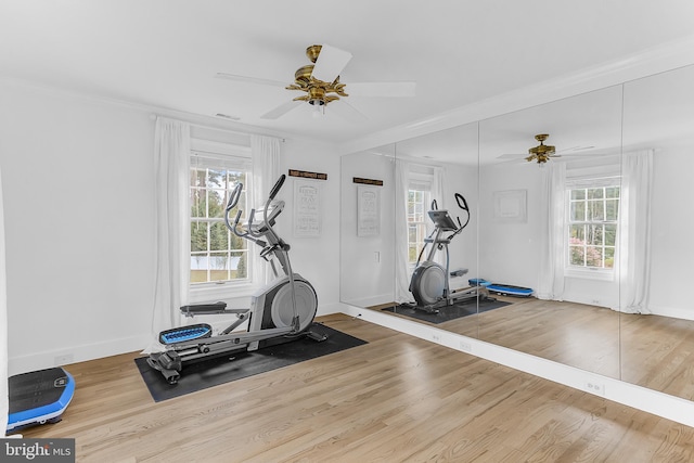 workout room featuring hardwood / wood-style floors and ceiling fan