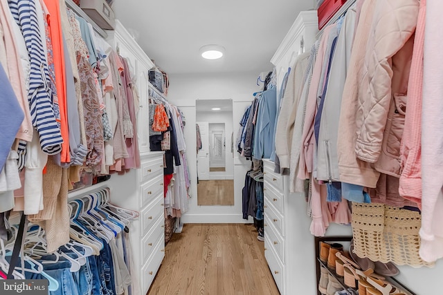 spacious closet featuring light wood-type flooring