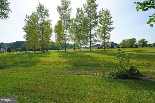 view of property's community with a yard