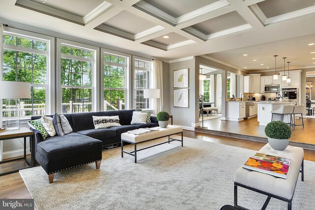 living room featuring coffered ceiling, light hardwood / wood-style flooring, ornamental molding, and a healthy amount of sunlight