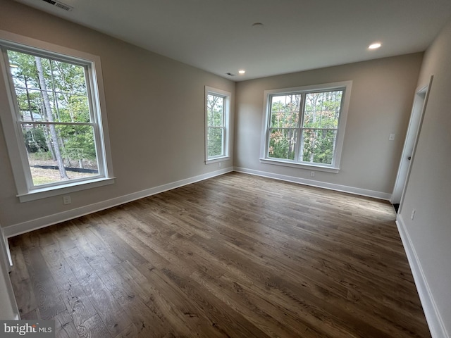 empty room featuring dark hardwood / wood-style floors and a wealth of natural light