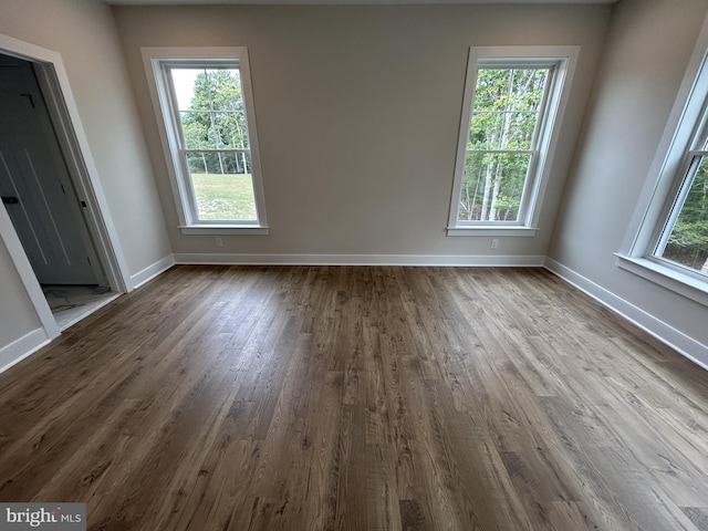 empty room with wood-type flooring