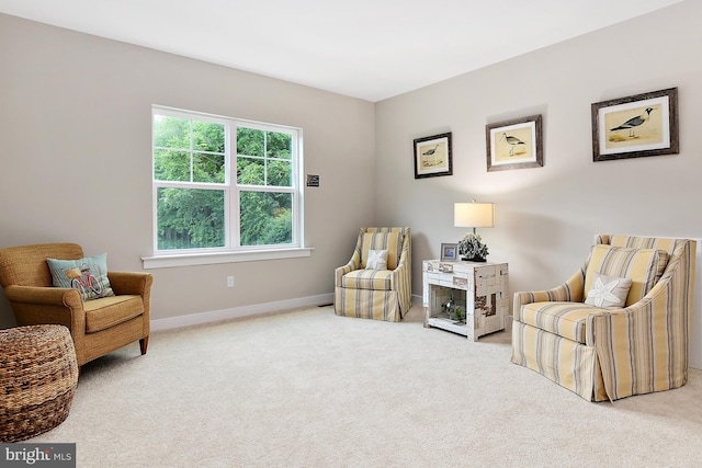 living area featuring carpet