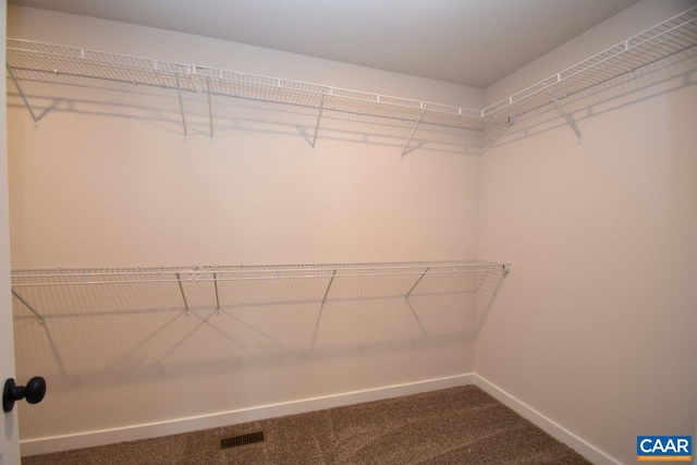 spacious closet featuring carpet and visible vents