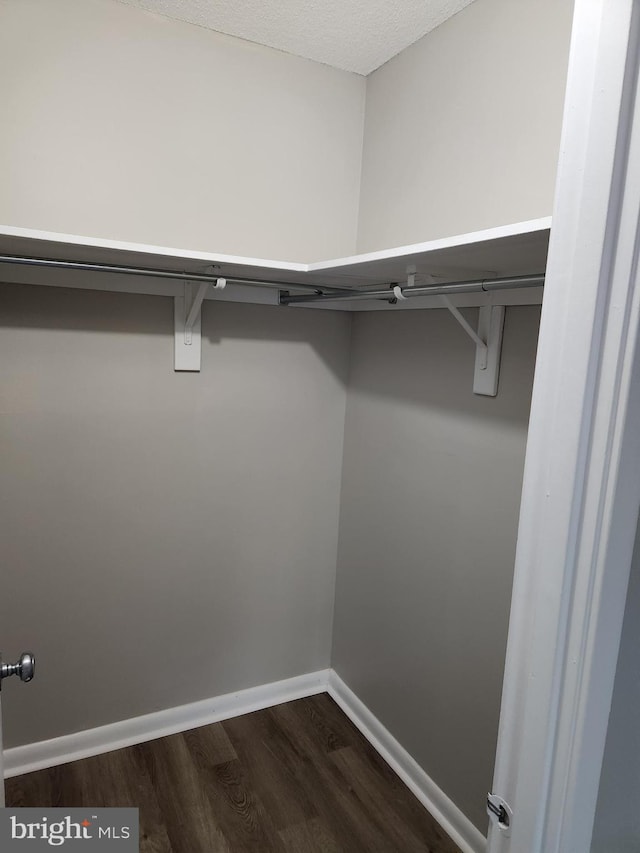 walk in closet featuring dark hardwood / wood-style flooring