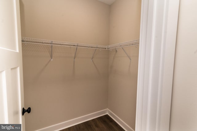 walk in closet featuring dark wood-style flooring