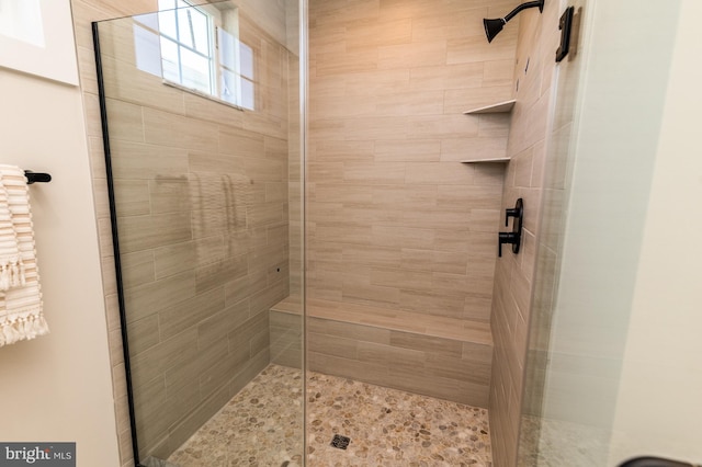 bathroom featuring a shower stall