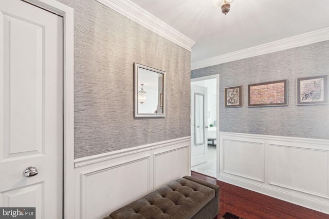 interior space with wallpapered walls, ornamental molding, dark wood finished floors, and wainscoting