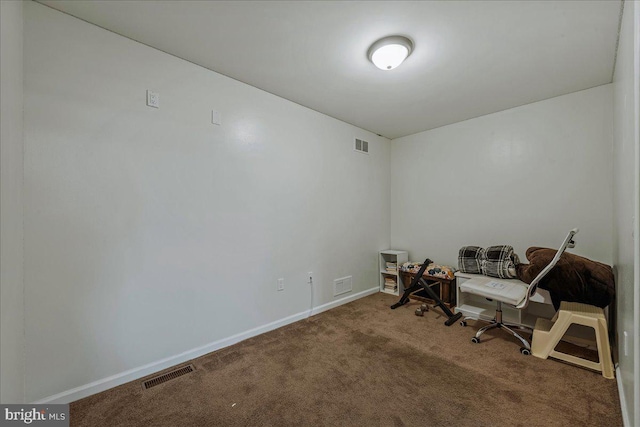 living area featuring carpet flooring