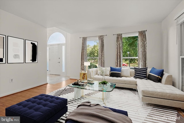 living room featuring wood-type flooring