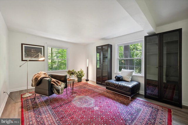 living room featuring wood-type flooring and french doors