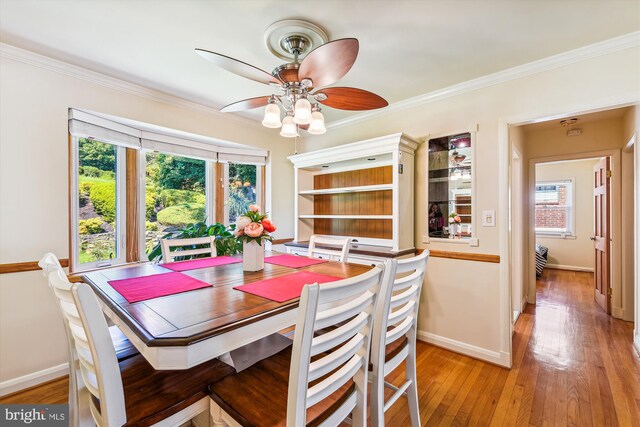 dining space featuring ceiling fan, light wood-type flooring, and ornamental molding