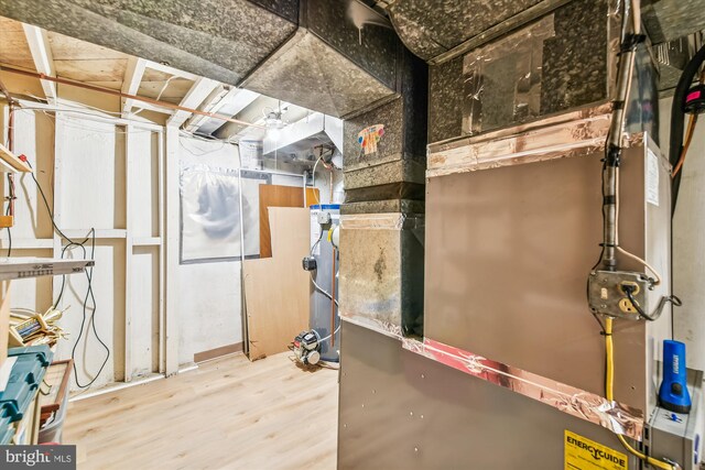 basement featuring wood-type flooring