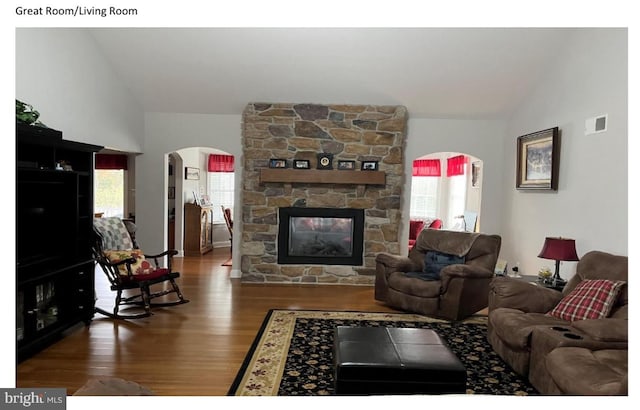 living room featuring lofted ceiling, dark wood-type flooring, and a fireplace