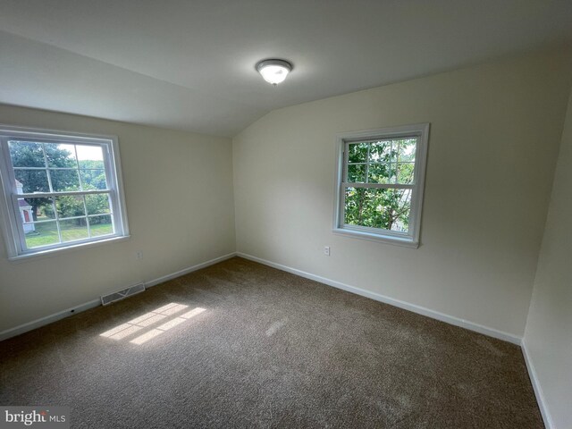 empty room featuring carpet, lofted ceiling, and a healthy amount of sunlight