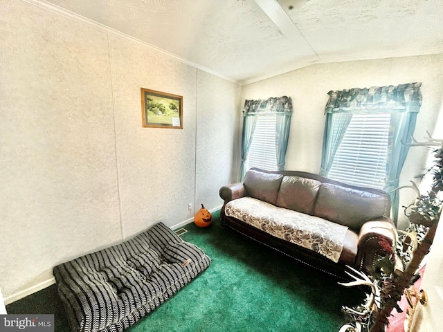 interior space with carpet floors, a textured ceiling, and lofted ceiling