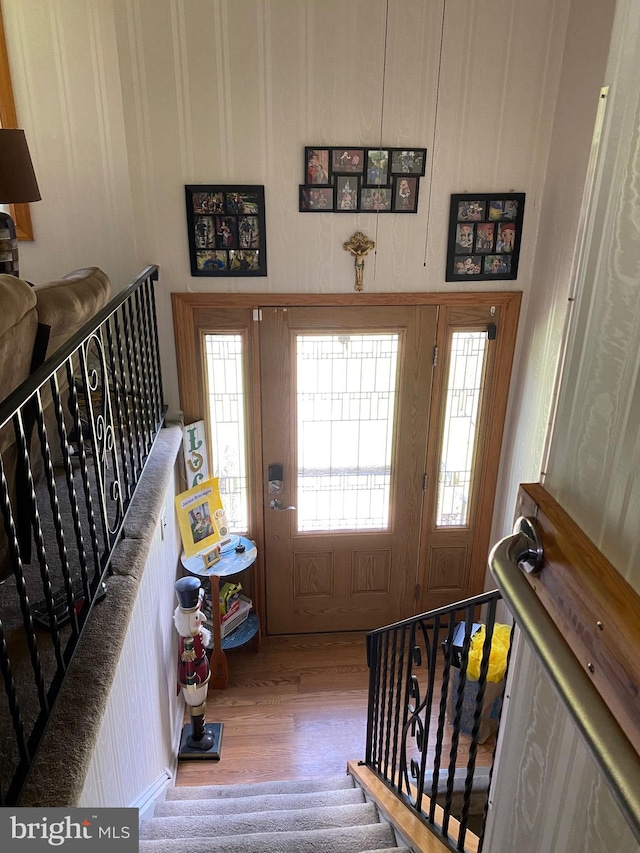 entryway featuring a wealth of natural light and wood-type flooring