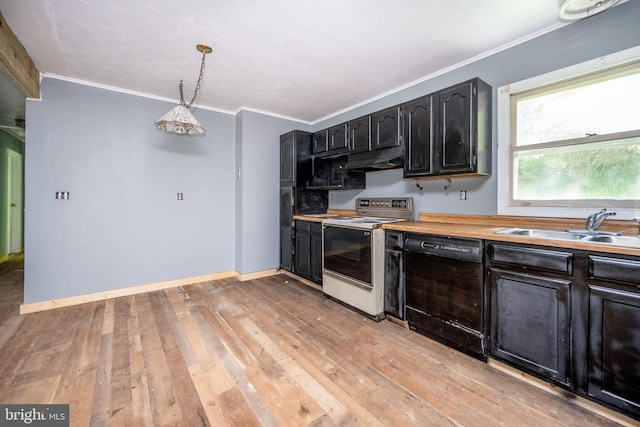 kitchen with light hardwood / wood-style floors, sink, range with electric cooktop, and dishwasher