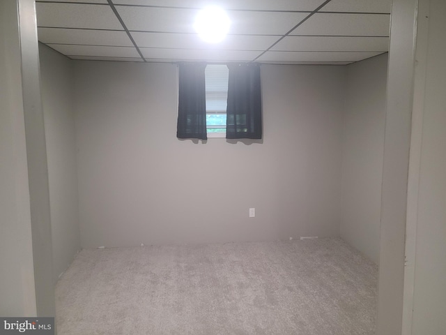 basement featuring carpet floors and a paneled ceiling