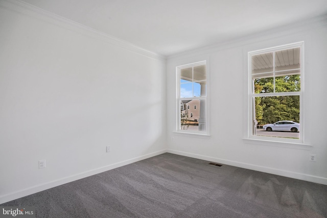 carpeted spare room featuring crown molding