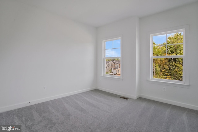 spare room featuring plenty of natural light and carpet flooring