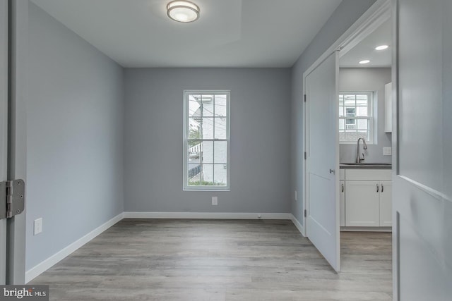 interior space featuring sink, plenty of natural light, and light wood-type flooring