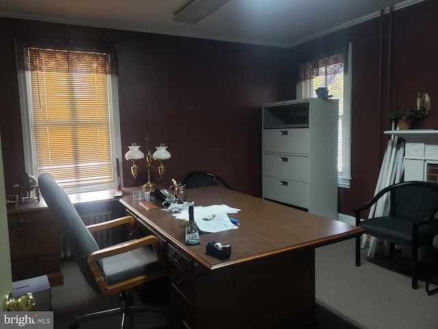 carpeted home office featuring crown molding