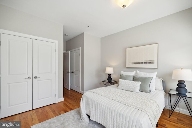 bedroom featuring a closet and wood-type flooring