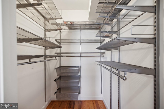 walk in closet featuring hardwood / wood-style flooring