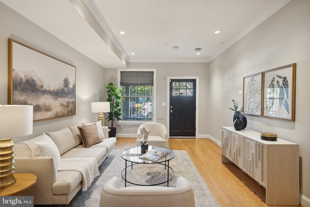 living room featuring crown molding and light hardwood / wood-style floors