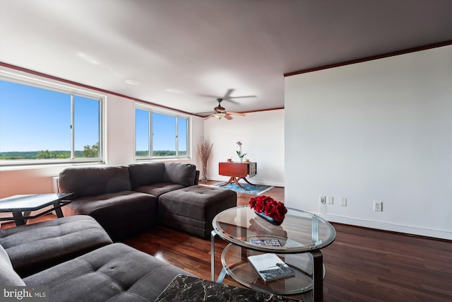 living room with ceiling fan, ornamental molding, and dark hardwood / wood-style flooring