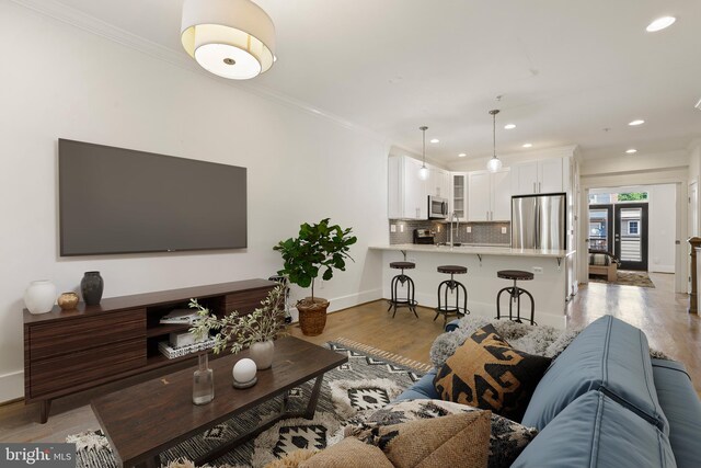 living room with light hardwood / wood-style flooring, ornamental molding, and sink