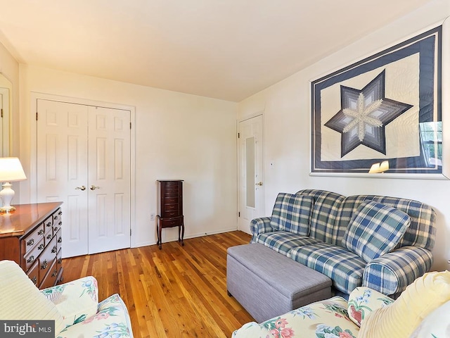 living room with hardwood / wood-style floors