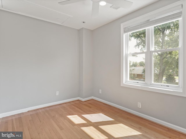 spare room featuring a wealth of natural light, ceiling fan, and light hardwood / wood-style floors