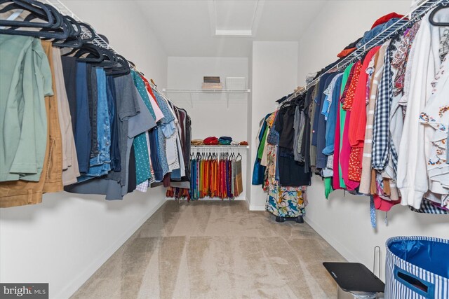 spacious closet featuring light carpet