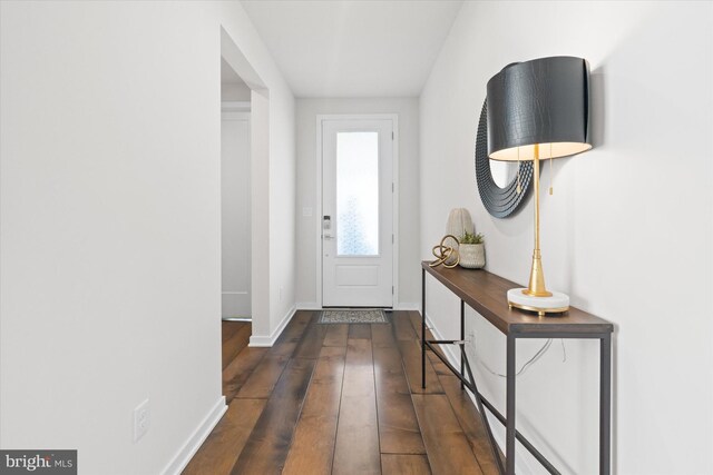 foyer entrance with dark hardwood / wood-style flooring