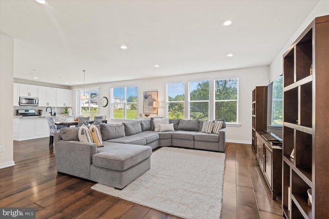 living room with a wealth of natural light, dark hardwood / wood-style flooring, and sink