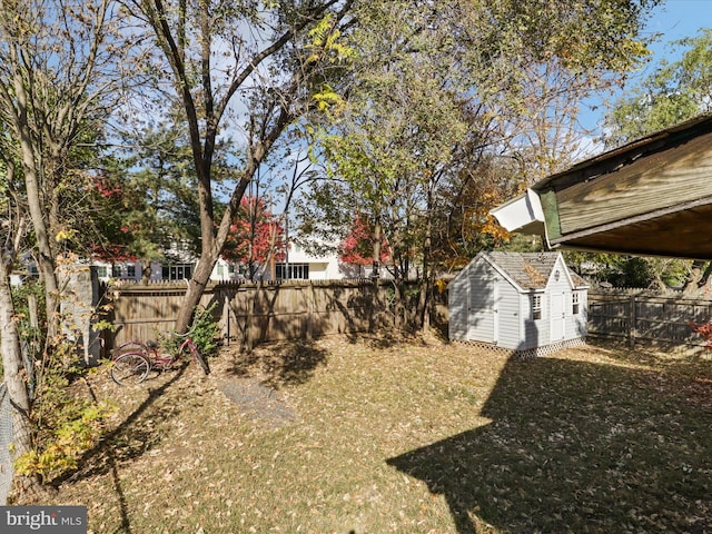 view of yard featuring a shed