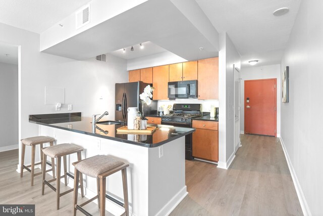 kitchen featuring light wood-type flooring, black appliances, rail lighting, and sink