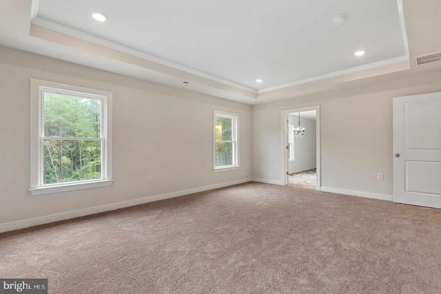 interior space with a wealth of natural light, light colored carpet, and a tray ceiling