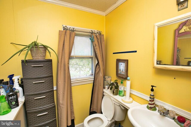 bathroom with ornamental molding, sink, and toilet