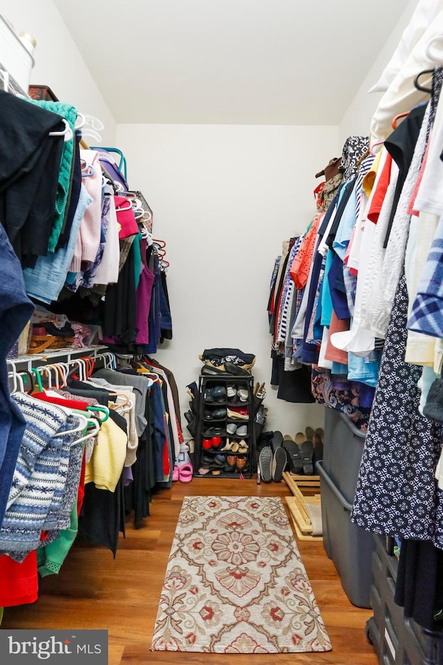 walk in closet featuring hardwood / wood-style floors