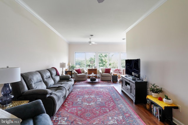 living room featuring ornamental molding, dark hardwood / wood-style flooring, and ceiling fan