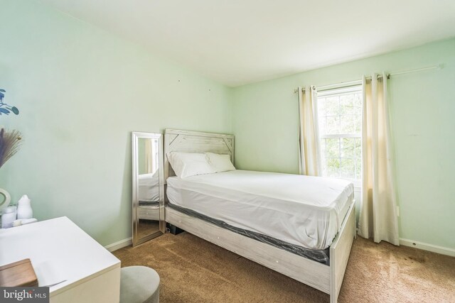 bedroom featuring carpet