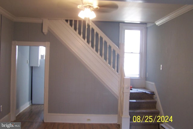 stairs with ceiling fan, crown molding, a healthy amount of sunlight, and wood-type flooring