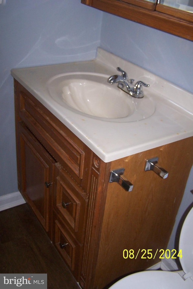 bathroom featuring hardwood / wood-style floors and vanity