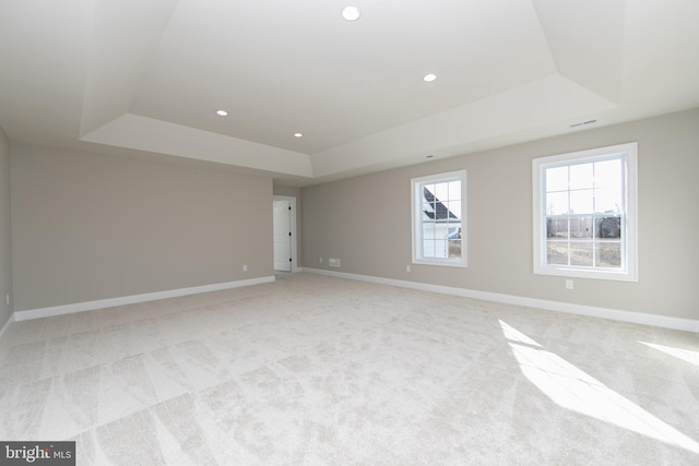 unfurnished room with light carpet and a raised ceiling