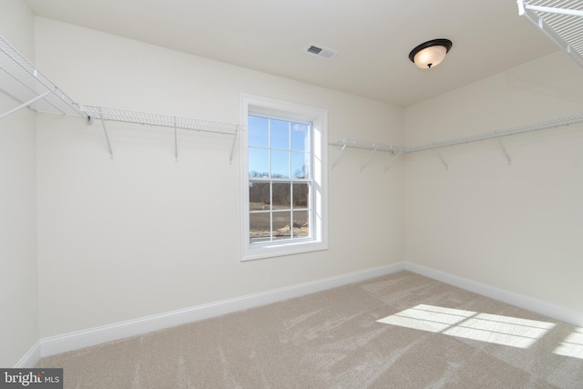 spacious closet featuring carpet flooring