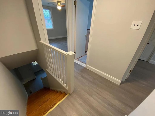 staircase with wood finished floors, a ceiling fan, and baseboards