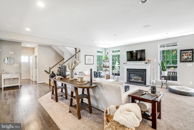 living room featuring dark hardwood / wood-style flooring and a wealth of natural light